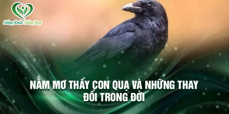 Nằm Mơ Thấy Con Quạ: Bí Ẩn Và Điềm Báo May Mắn 2 Nằm mơ thấy con quạ và những thay đổi trong đời