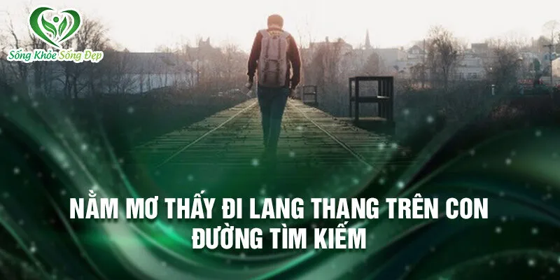 Nằm Mơ Thấy Đi Lang Thang: Khám Phá Điều Bí Ẩn 2 Nằm mơ thấy đi lang thang trên con đường tìm kiếm