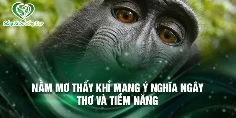 Nằm mơ thấy khỉ: ẩn chứa nhiều bí ẩn 2 NNằm mơ thấy khỉ mang ý nghĩa ngây thơ và tiềm năng
