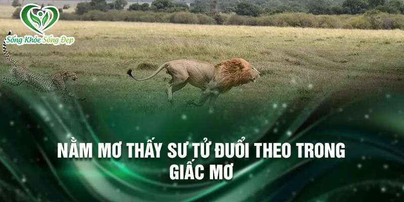 Nằm Mơ Thấy Sư Tử: Bí Ẩn Và Vận May Số Độc Đáo 2 Nằm mơ thấy sư tử đuổi theo trong giấc mơ
