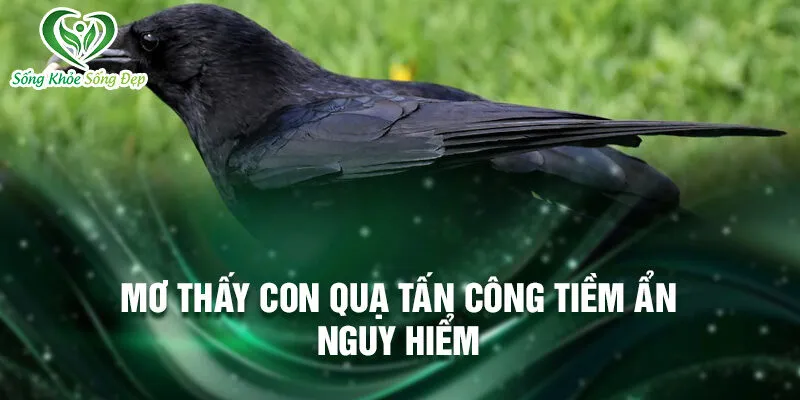 Nằm Mơ Thấy Con Quạ: Bí Ẩn Và Điềm Báo May Mắn 3 Mơ thấy con quạ tấn công tiềm ẩn nguy hiểm