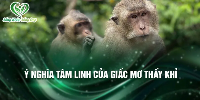 Nằm mơ thấy khỉ: ẩn chứa nhiều bí ẩn 3 Ý nghĩa tâm linh của giấc mơ thấy khỉ