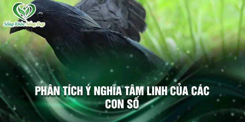 Nằm Mơ Thấy Con Quạ: Bí Ẩn Và Điềm Báo May Mắn 4 Phân tích ý nghĩa tâm linh của các con số