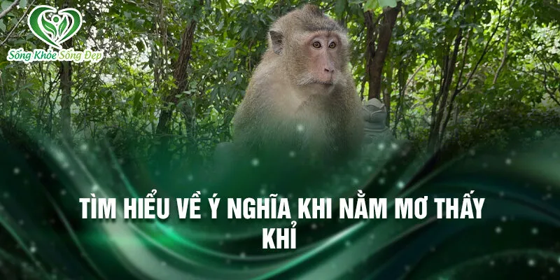 Nằm mơ thấy khỉ: ẩn chứa nhiều bí ẩn 4 Tìm hiểu về ý nghĩa khi nằm mơ thấy khỉ