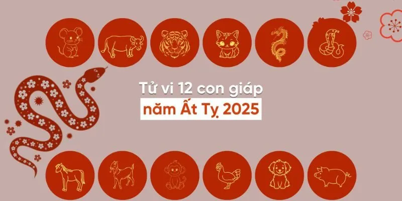 Tử Vi Hôm Nay 8/6/2025: Tuổi Tý Vượng Tài, Tuổi Dậu Cẩn Trọng 2 Tử vi hôm nay 8/6/2025 của 12 con giáp